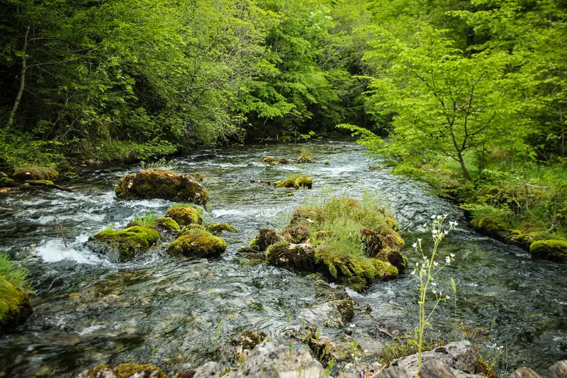 Gornji tok rijeke Sane u opštini Ribnik.